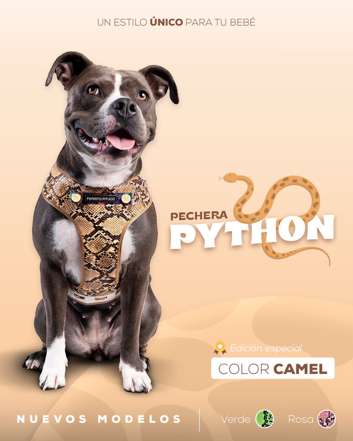 Pechera Python Camel